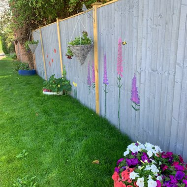 Michelle's garden