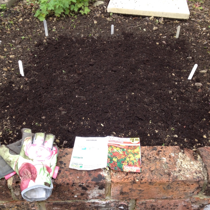 plant image 160475