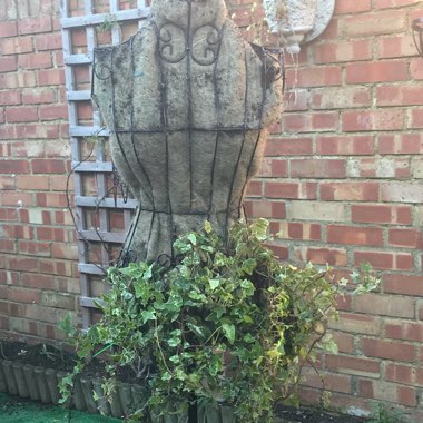 Martine's garden