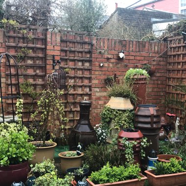 Martine's garden