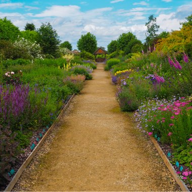 Malcolm's garden