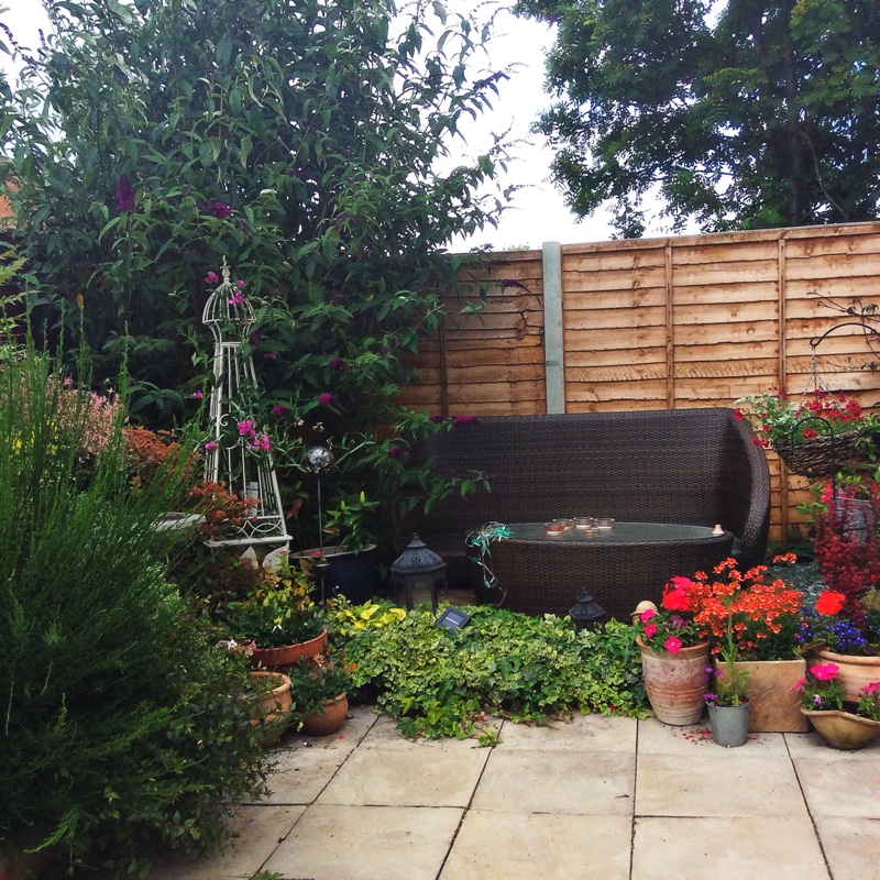 Malcolm's garden