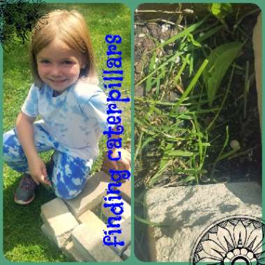 Jamie's garden