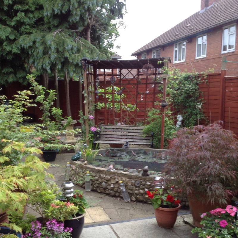 Margaret's garden
