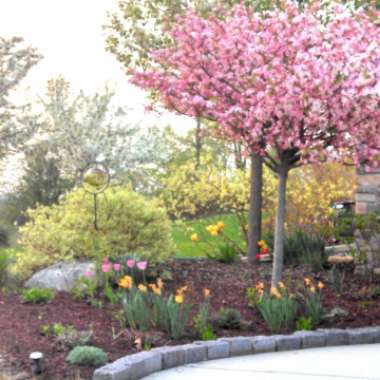 Mariella's garden