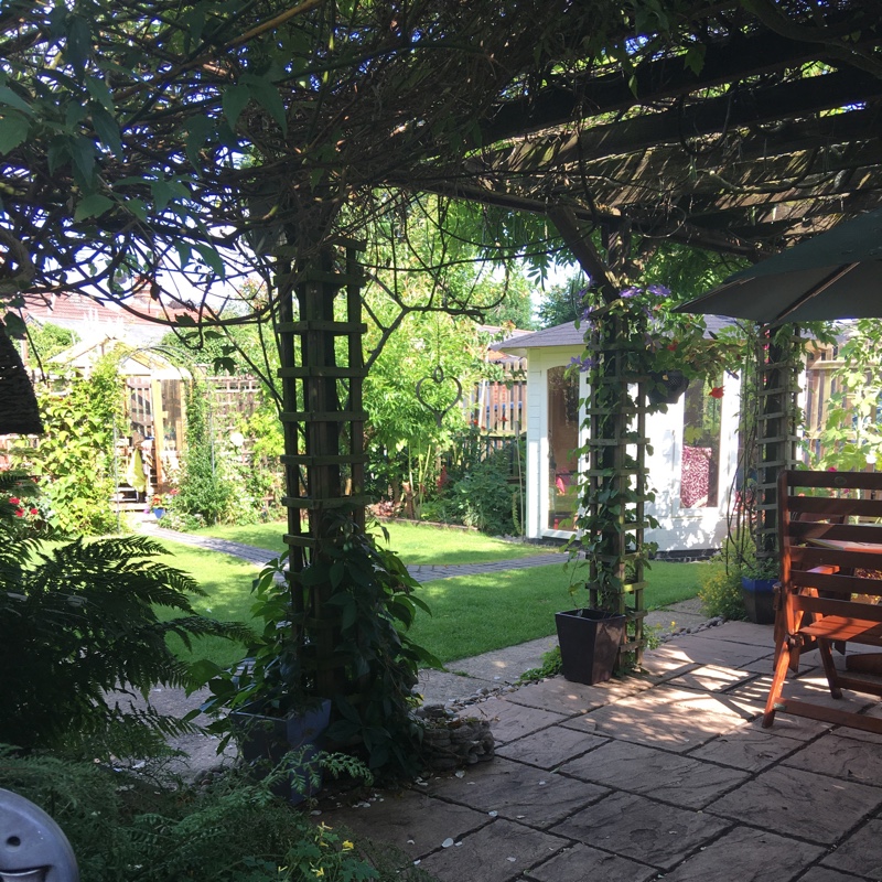 Marion's garden