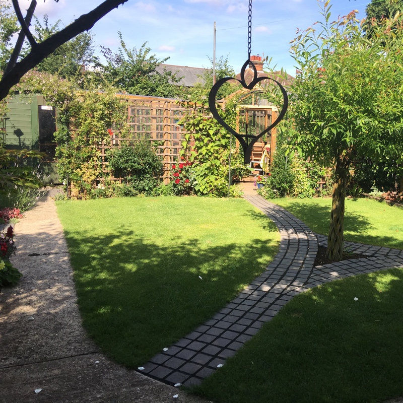 Marion's garden