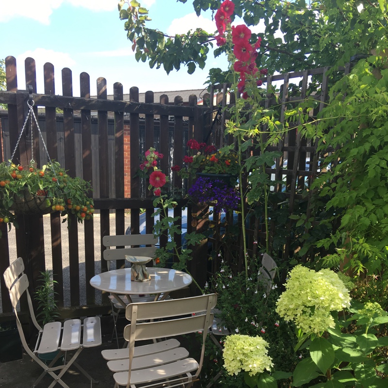 Marion's garden