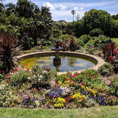 Marty's garden
