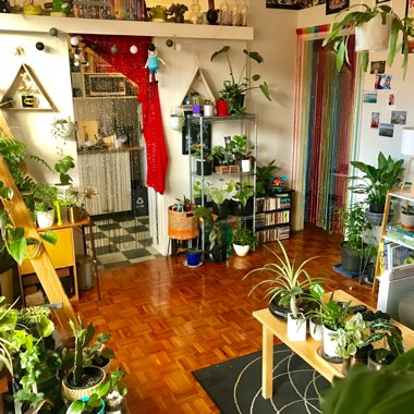 Jake's garden