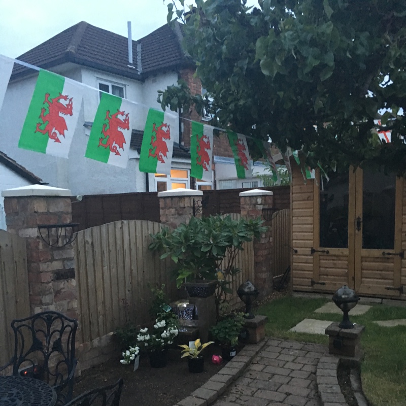 Maxine's garden