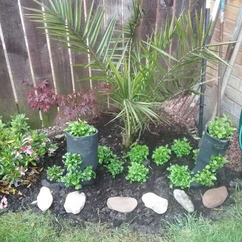 Margaret's garden