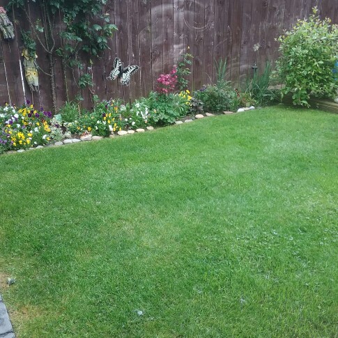 Margaret's garden