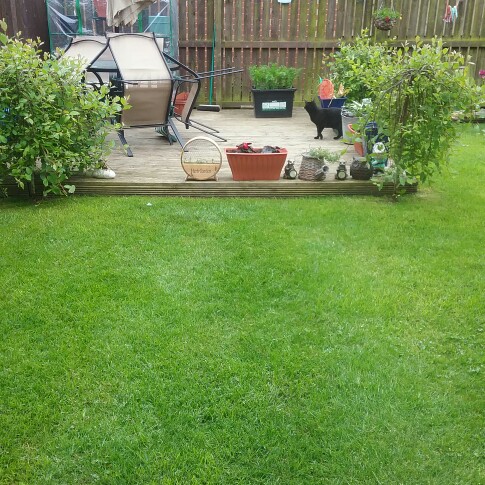 Margaret's garden