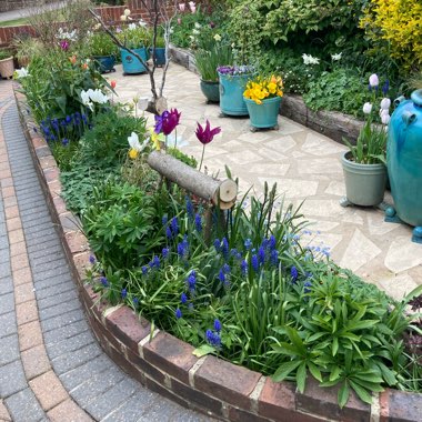 Mary's garden