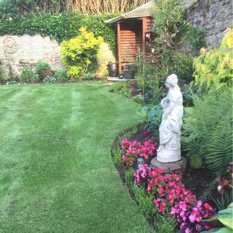 Elizabeth's garden