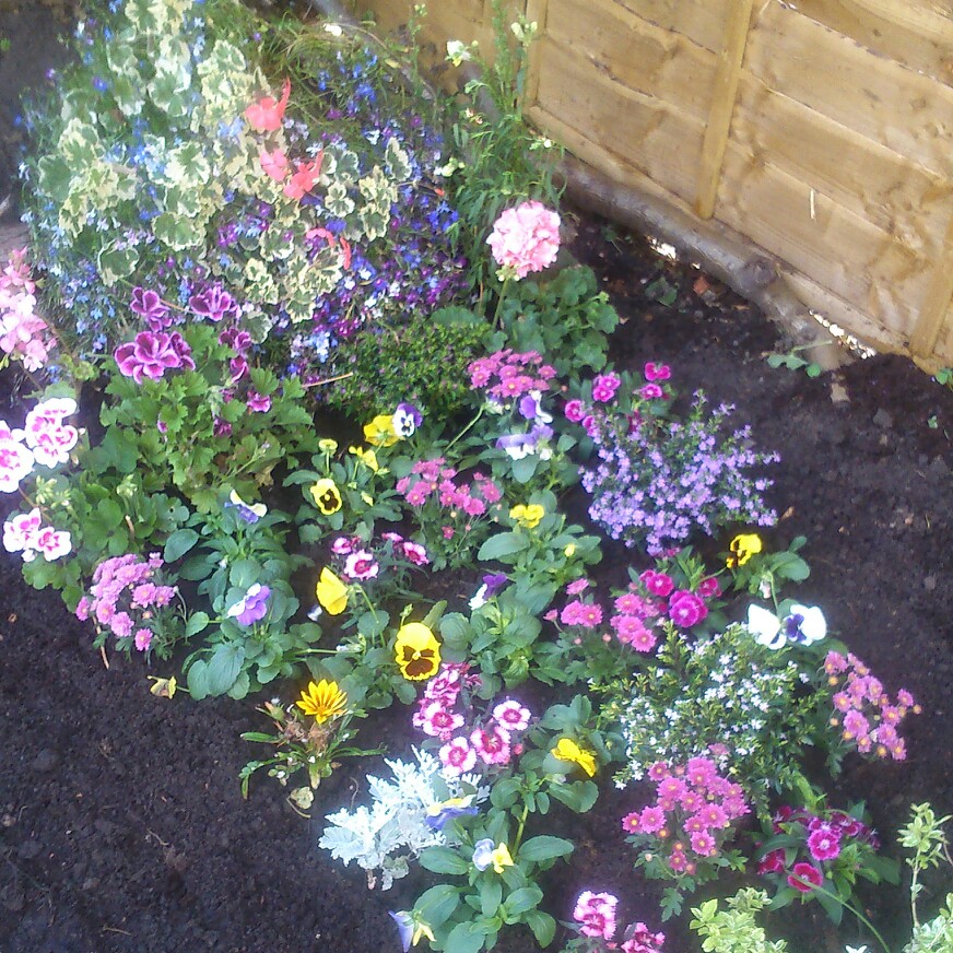 Melanie 's garden