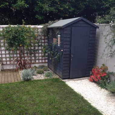 Mel's garden