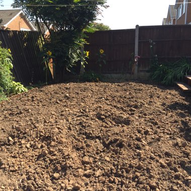 Andi's garden