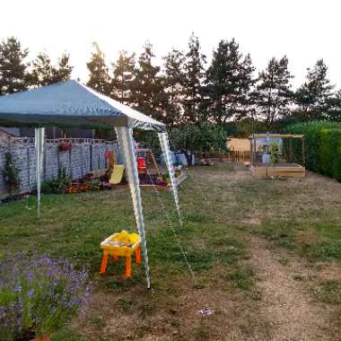 Mick's garden