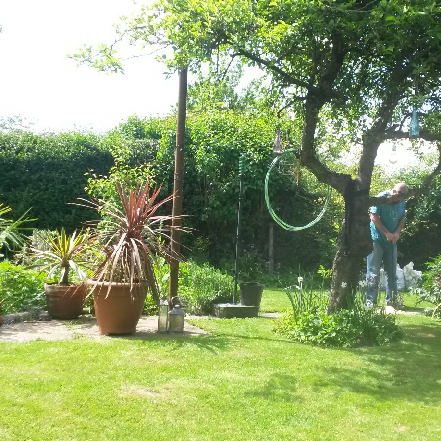 Michelle's garden