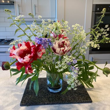 Michelle's garden