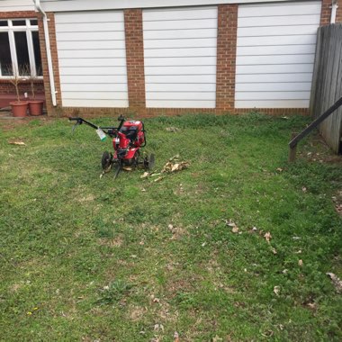 Michael's garden