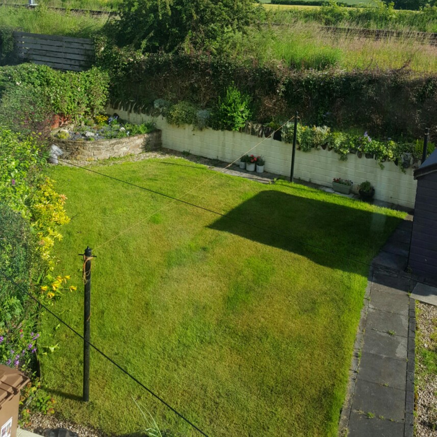 Louise's garden