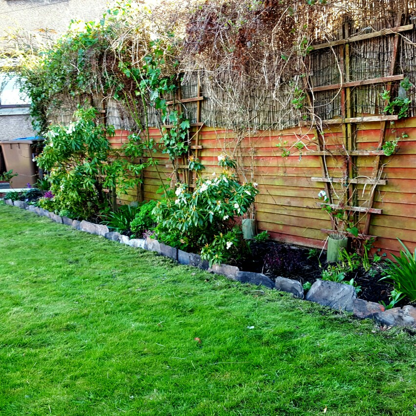 Louise's garden