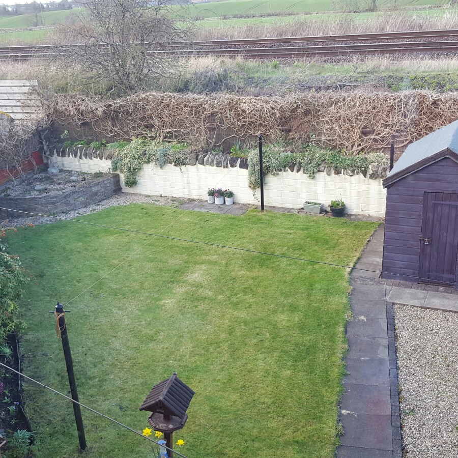 Louise's garden