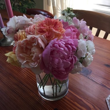 Marie's garden