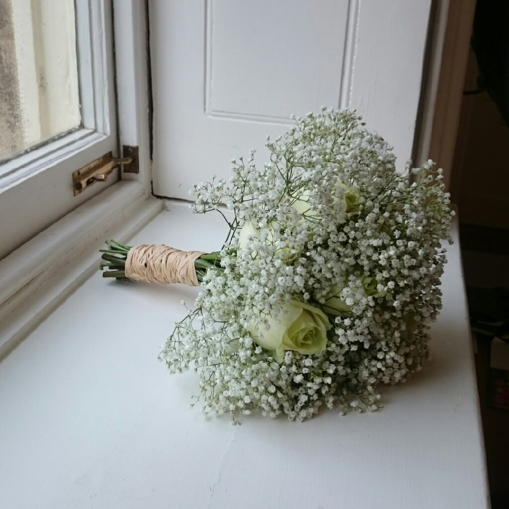 Plant image Gypsophila elegans