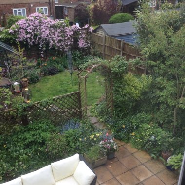 Elaine's garden