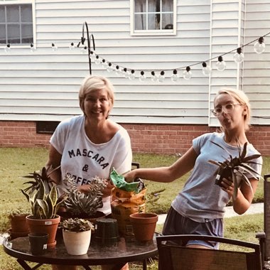 Monica's garden