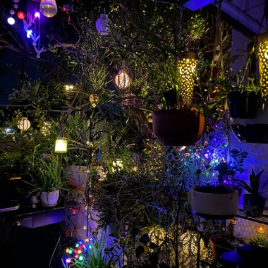 Waving's garden