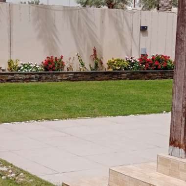Gholam's garden