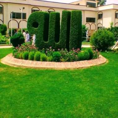 Gholam's garden
