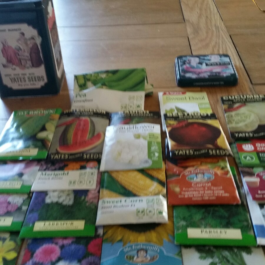 Linda's garden