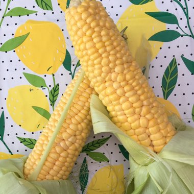 Sweet Corn