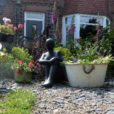 Gary's garden