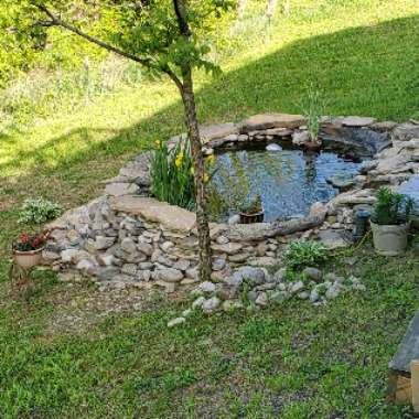 MrsTMFH 's garden