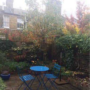 Anna's garden