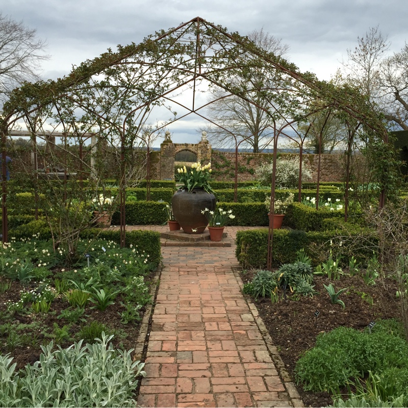 Anna's garden
