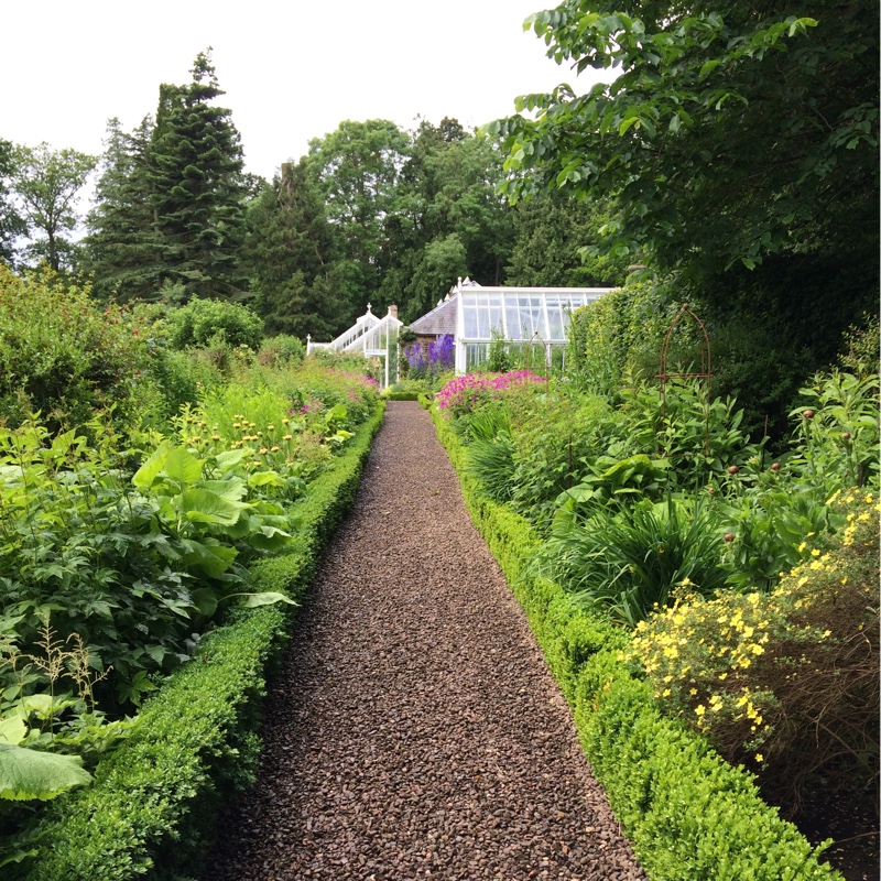 Mark's garden