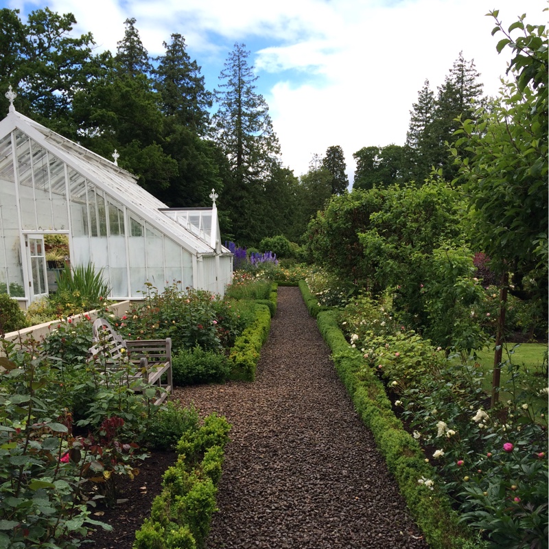 Mark's garden
