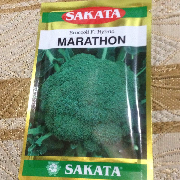 Plant image Brassica ruvo