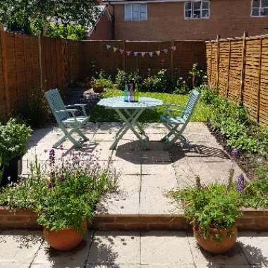 Ian's garden