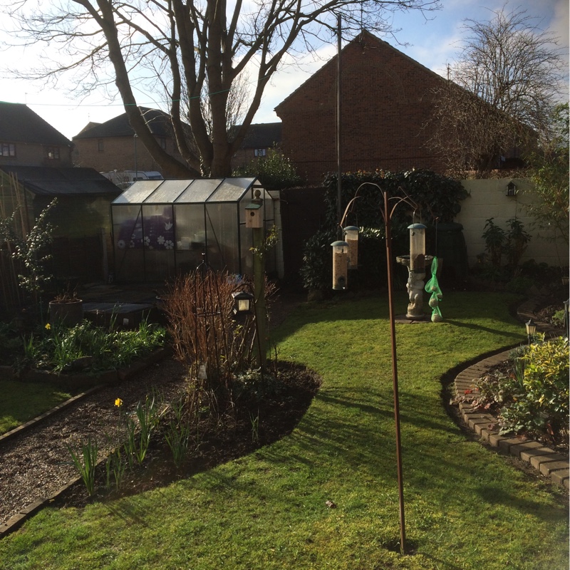 Tim's garden