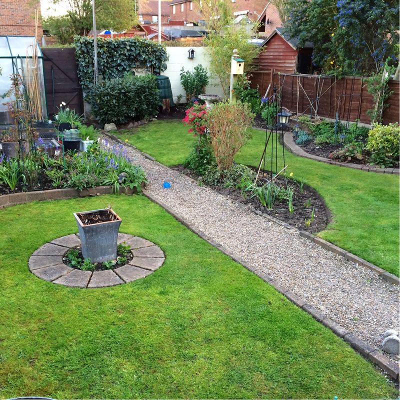 Tim's garden