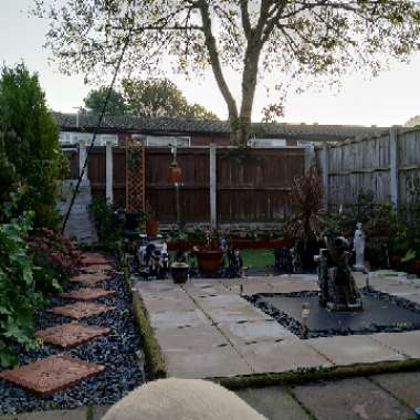 Nadia's garden